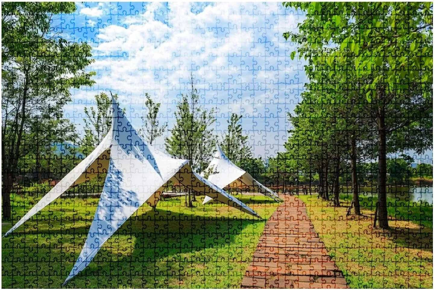 1000 Piece Puzzle Tents Camping Grassland Green Park 20" x 30" Countdown Indoor Activities Difficult Jigsaw Puzzle Set for Adults, Children - Educational Toys Gift