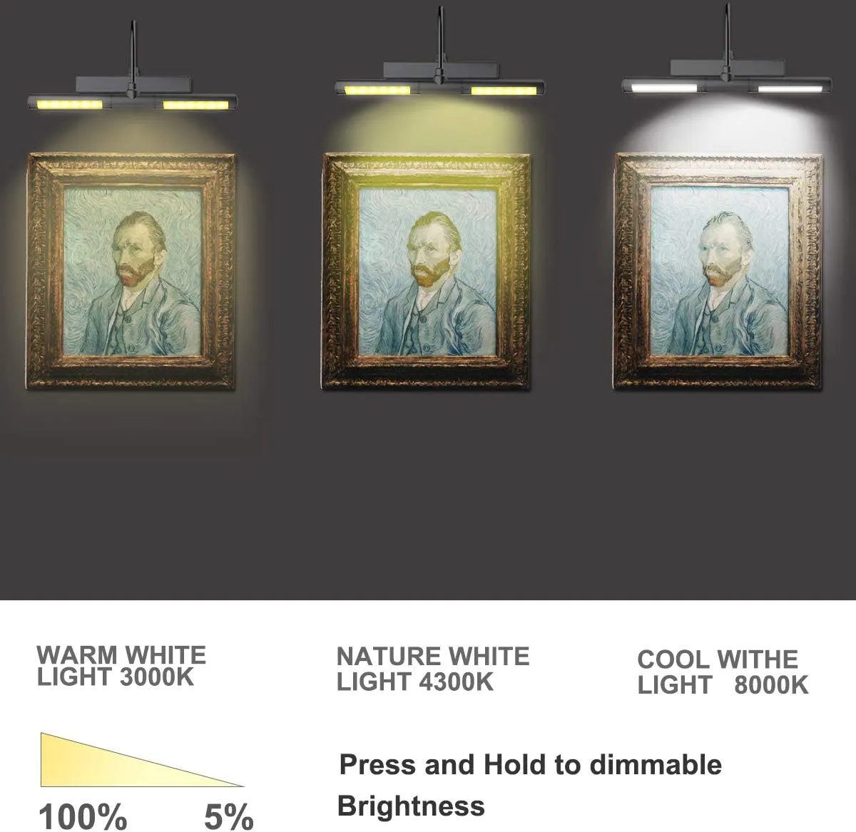 BIGLIGHT Wireless Picture Light Battery Operated, 13 Inches Artwork Light with Remote and Timer, Dimmable Display Lamp for Painting Dartboard Photo Frame Portrait Art, Black