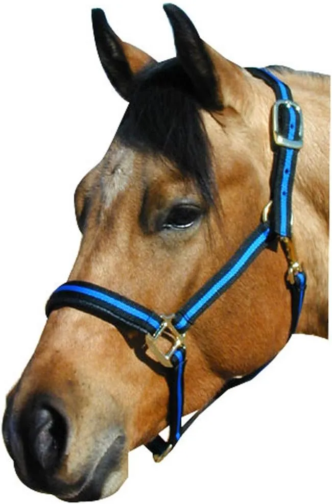 Intrepid International No Rub Padded Striped Halter