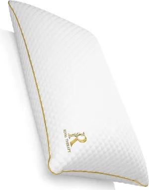 Royal Therapy Queen Memory Foam Pillow, Adjustable Shredded Odor-Free Pillow for Neck & Shoulder Pain Relief, Support for Back, Stomach, Side Sleepers, CertiPUR-US