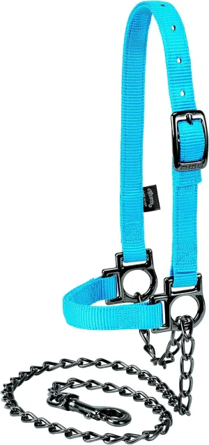 Weaver Nylon Adjustable Sheep Halter with Chain Lead